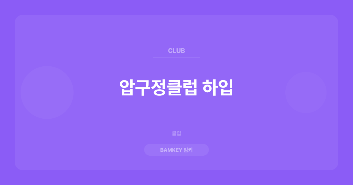 압구정클럽 하입