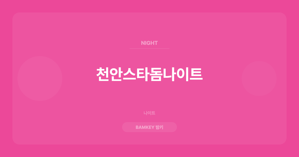 천안스타돔나이트